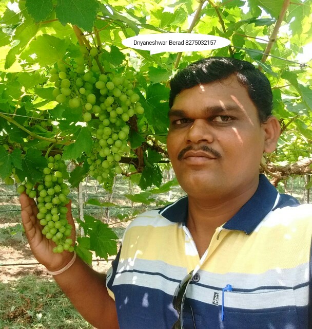 Green Planet Bio Products Ahmednagar Mobile  shop Ahmednagar